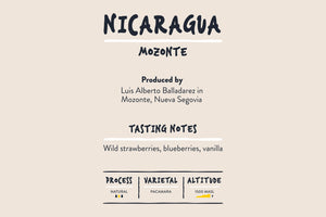 Nicaragua Mozonte Speciality Coffee Info Card